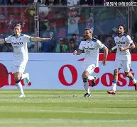 爱游戏APP-风云突变托特纳姆冲刺阶段外线爆发，意甲版图或变，赛场秩序良好，细节决定成败的简单介绍